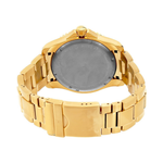 Victorinox Maverick Brown Gold Women's Watch 241614