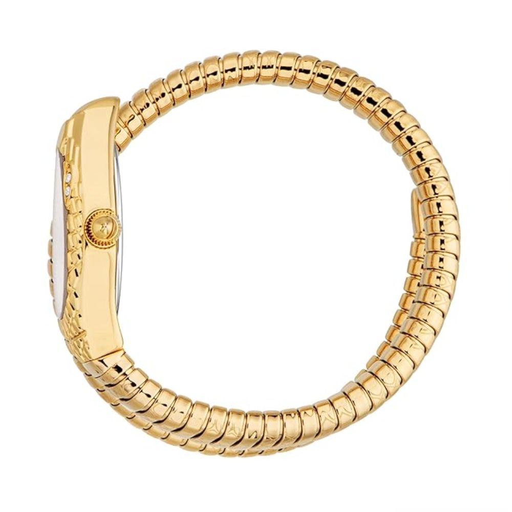 Just Cavalli Vetra Silver Dial Women's Watch JC1L373M1025