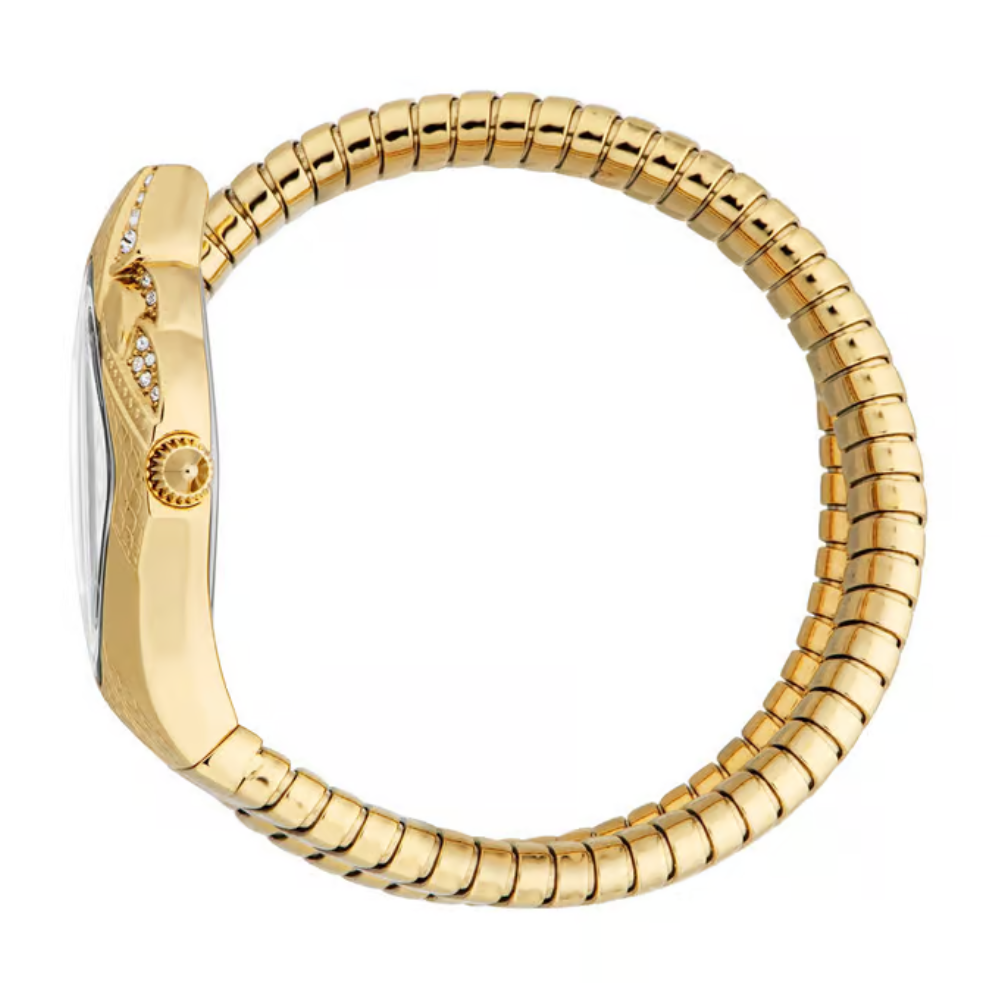 Just Cavalli Ferocious Silver Dial Women's Watch JC1L306M0035
