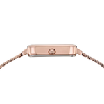 Daniel Wellington Petite Green Women's Watch DW0DL2901