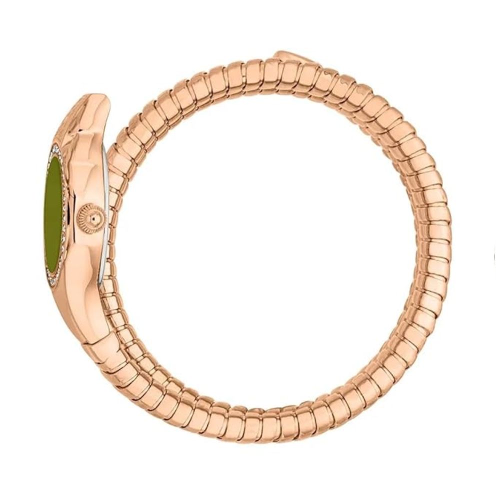 Just Cavalli Vita Green Women's Watch JC1L355M0045