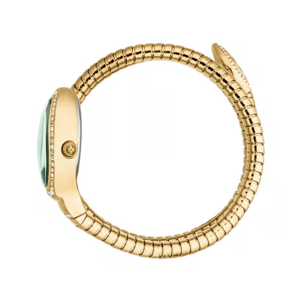 Just Cavalli Carezza Green Dial Women's Watch JC1L372M0035