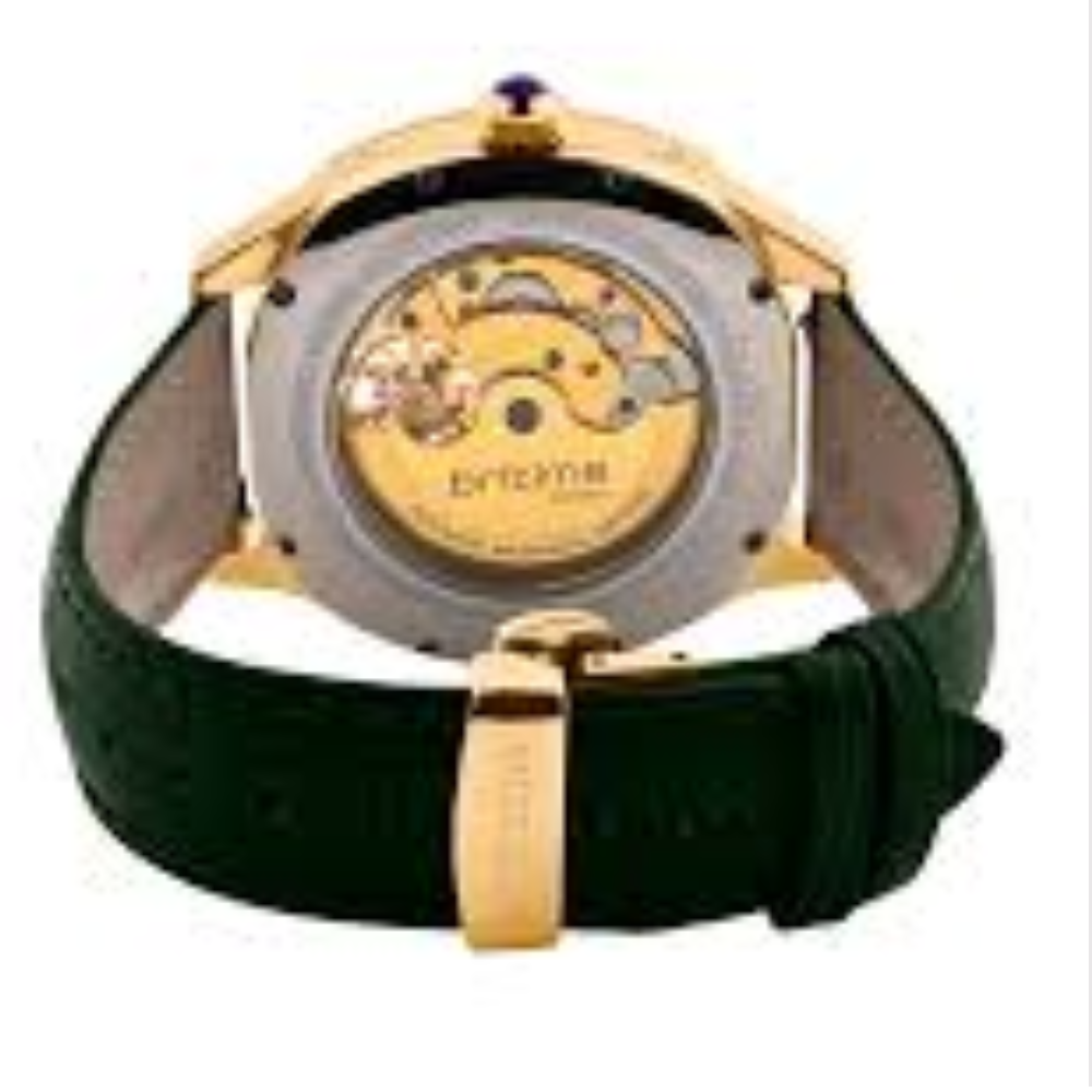 Britime Automatic Green Men’s Watch 1641-L31412