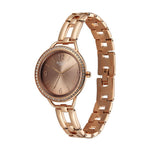 Titan Raga Allure Brown Women's Watch 2791WM01
