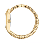 Just Cavalli Aria Silver Dial Women's Watch JC1L369M0035