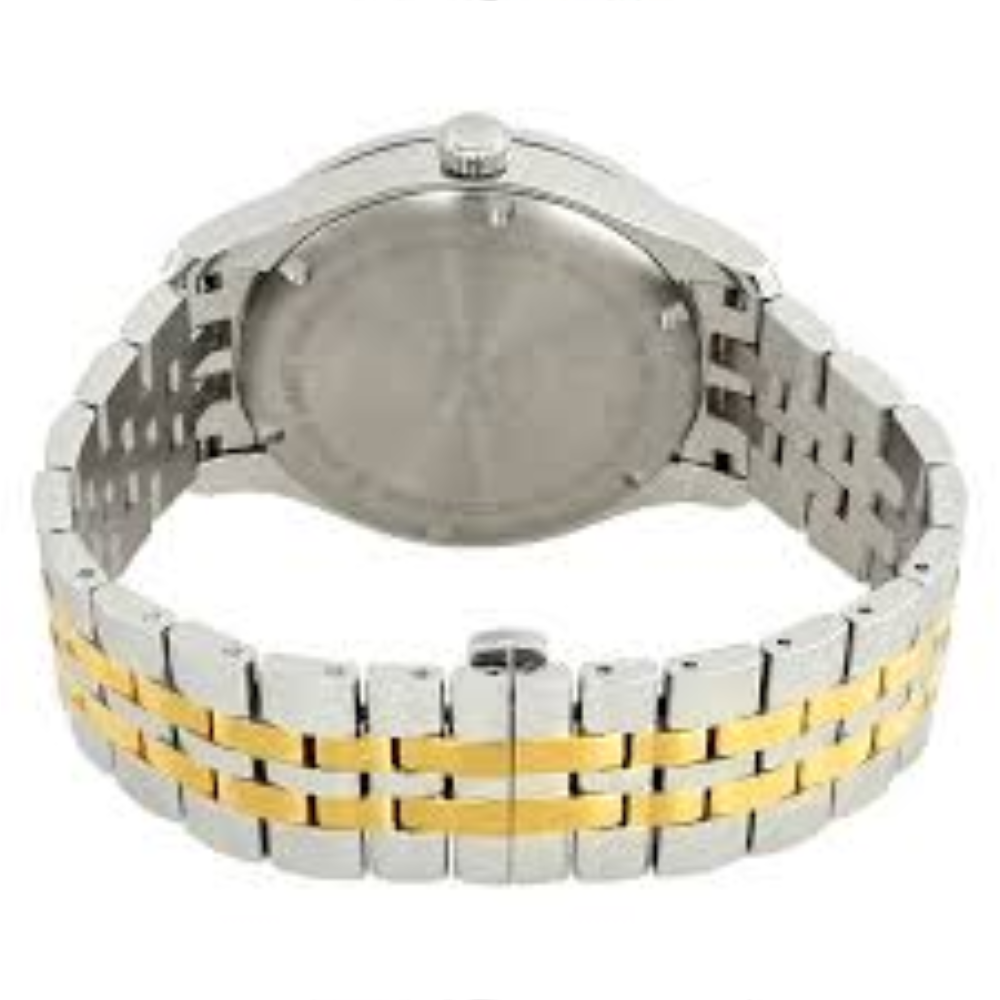 Victorinox Alliance Silver Men's Watch 241803