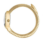 Just Cavalli Carezza Silver Women's Watch JC1L372M0025