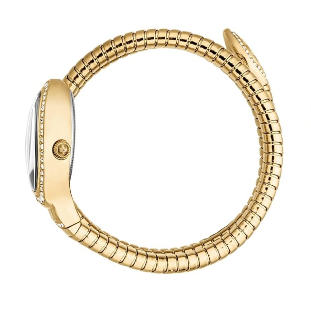 Just Cavalli Carezza Silver Women's Watch JC1L372M0025