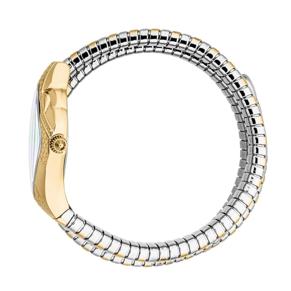Just Cavalli Cristallo Silver Women's Watch JC1L307M0055