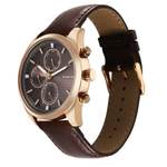 Sonata Magna Brown Dial Men's Watch 7155WL01