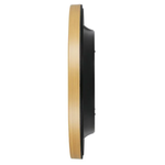 Titan Contemporary Light Brown Dial Wall Clock NSW0080PA01