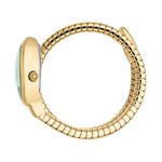 Just Cavalli Eclisse Green Dial Women's Watch JC1L371M0035