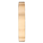 Titan Metallic Rose Gold Dial Wall Clock NSW0078MA01