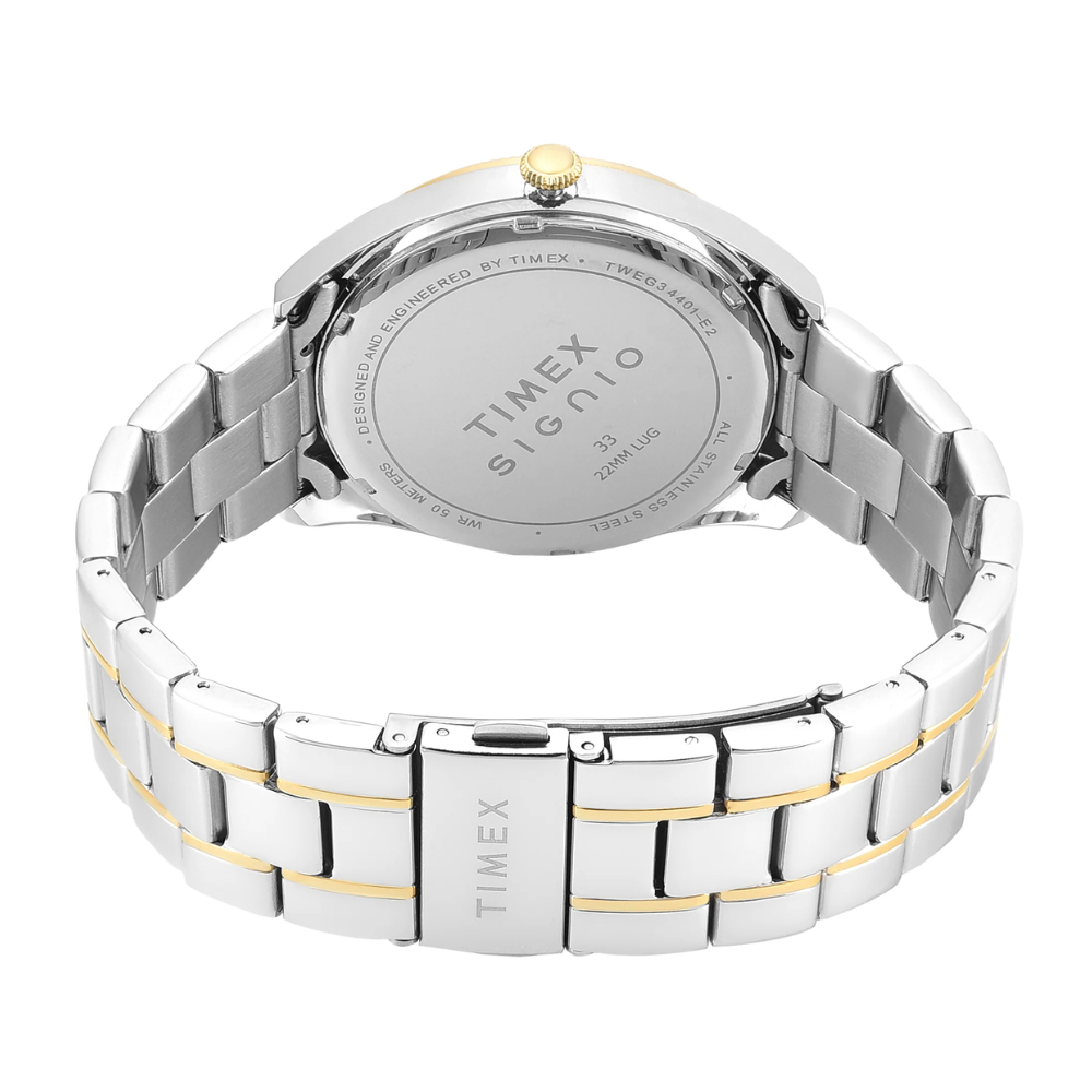 Timex Signio Silver Men Watch TWEG34401