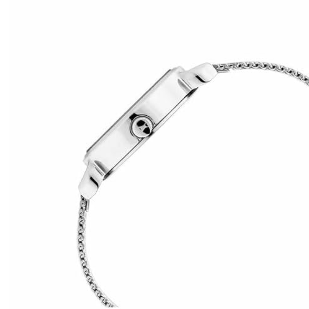 Fastrack Animal Print Analog Silver Dial Women's Watch 6221SM01