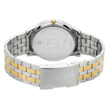 Titan Karishma Silver Men's Watch 1824BM01