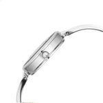Titan Raga Showstopper Silver Women's Watch 95264SM01