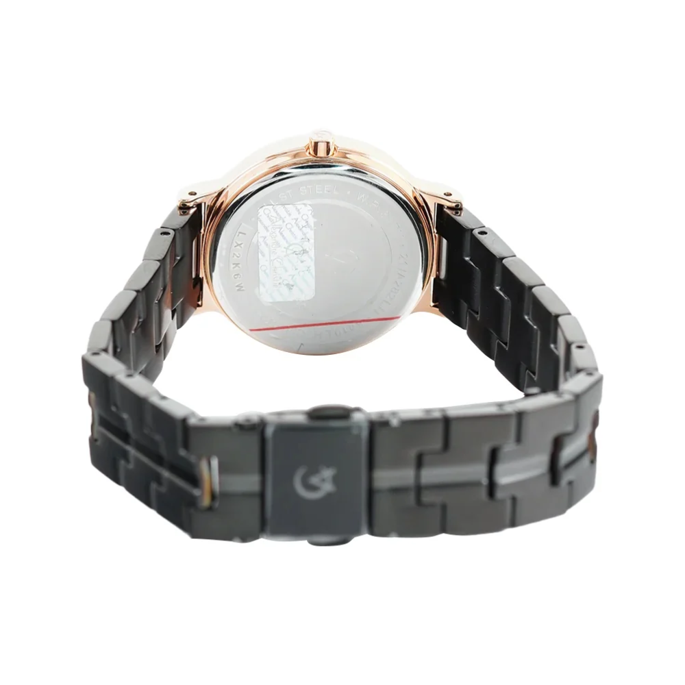 Alexandre Christie Classic Black Women's Quartz Watch 8410LHBBRBA