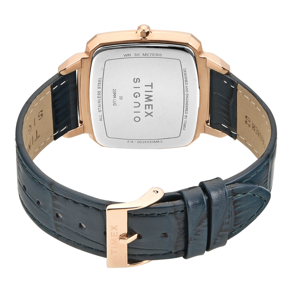 Timex Signio Green Dial Men Watch TWEG34100