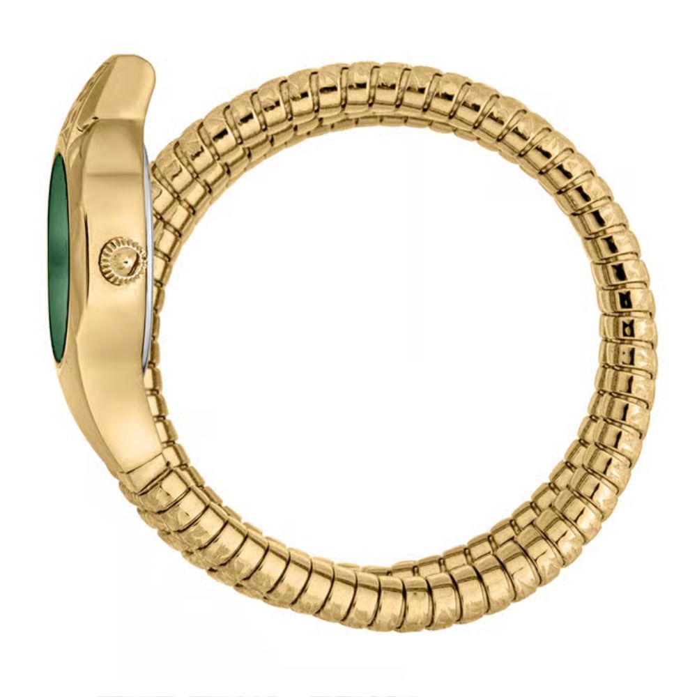 Just Cavalli Ravenna Green Women's Watch JC1L271M0035