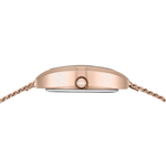 Daniel Wellington Petite Rose Gold Women's Watch DW0DL2001