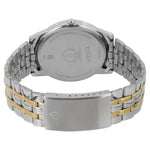 Titan Karishma Silver Men's Watch NT1774BM01