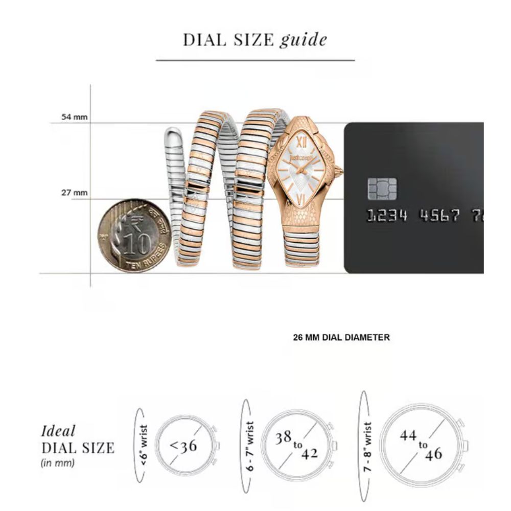 Just Cavalli Cristallo Silver Women's Watch JC1L307M0065