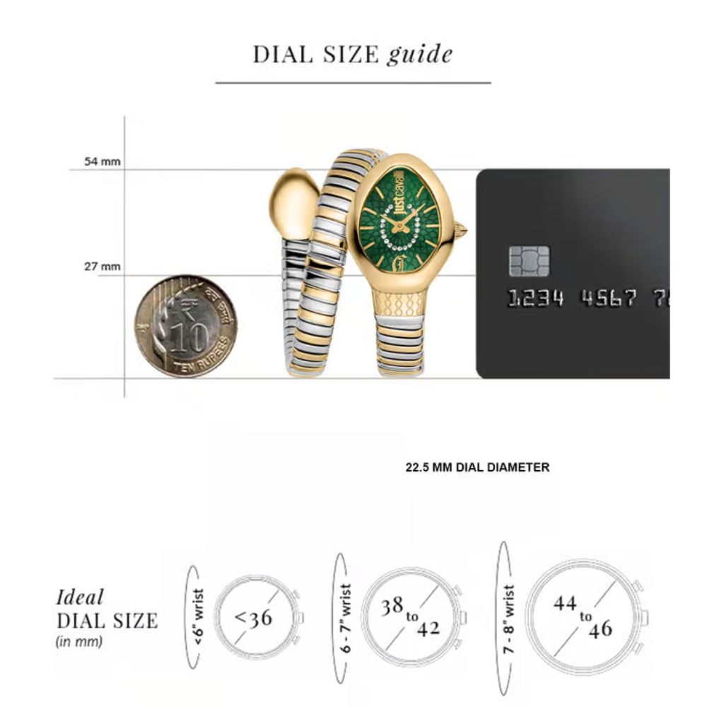 Just Cavalli Eclisse Green Dial Women's Watch JC1L371M0065