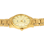 ALBA Active Gold Men's Watch ARX018X1