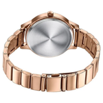 Sonata Poze Pink Dial Women's Watch SP80114WM02