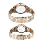 Titan Modern Bandhan Silver Pair Watch 9401194211WM01