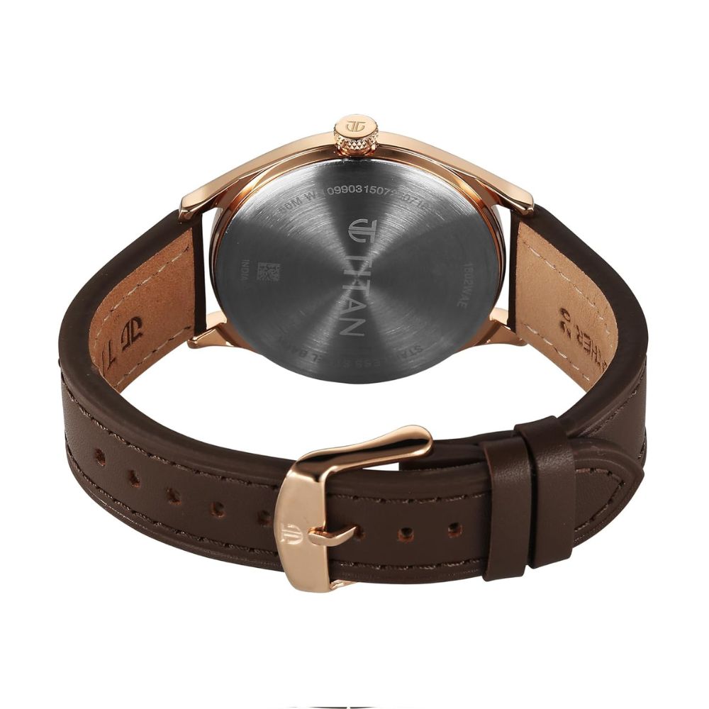 Titan Neo Basics II Brown Men's Watch 1802WL03