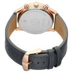 Titan Neo Iv Grey Men's Watch 1805WL01