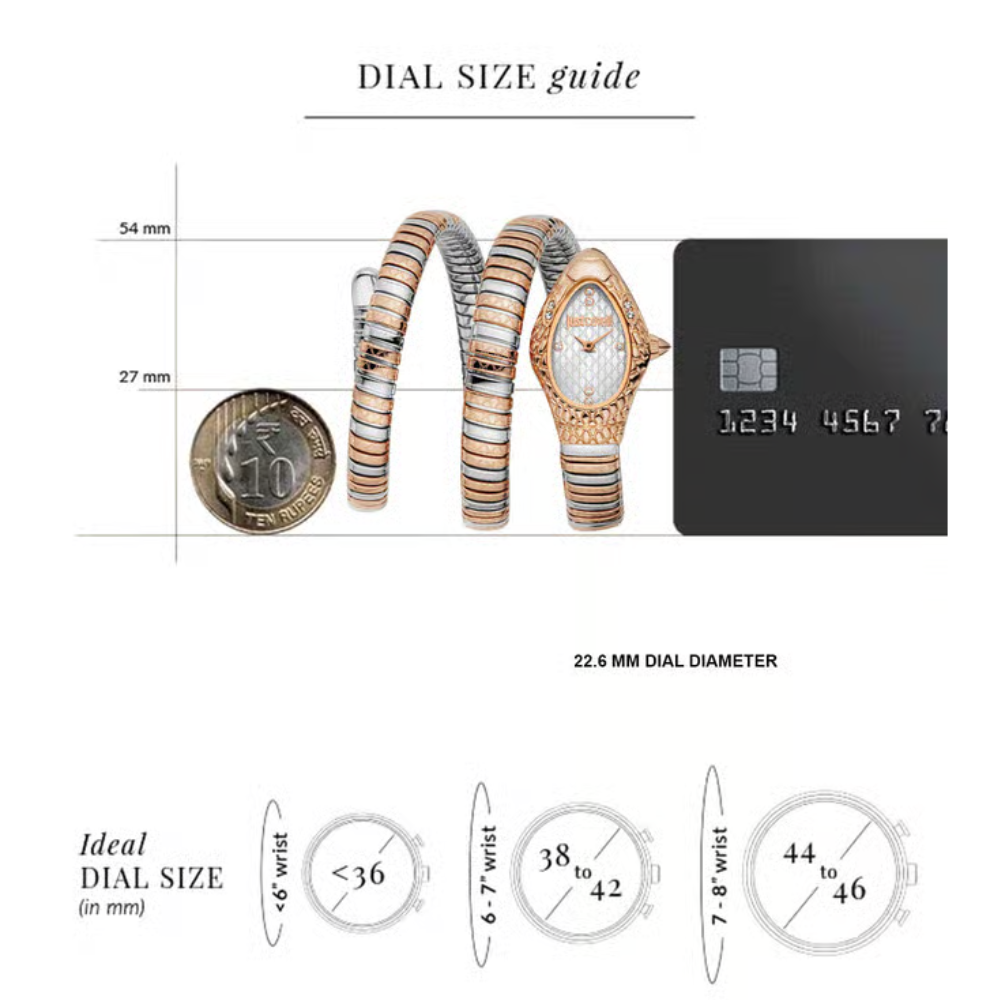 Just Cavalli Aurela Silver Women's Watch JC1L374M1065