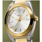 Fossil Everett Silver Dial Analog Women's Stainless Steel Watch ES5494
