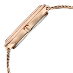 Titan Raga Glimmers Brown Dial Women's Watch 95338WM01