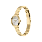 Fossil Heldi Mother Of Pearl Dial Women's Analog Stainless Steel Watch ES5501