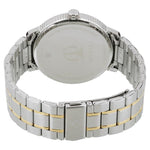 Titan Regalia Baron Silver Men's Watch 1743BM01