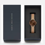 Daniel Wellington Petite Brown Women's Watch DW00100476K