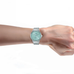 ALBA Ice Mint Men's Watch A5B007X1