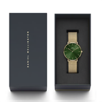 Daniel Wellington Petite Green Unisex Watch DW00100481K