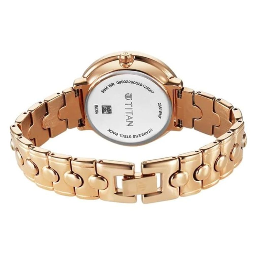 Titan Workwear Grey Dial Women's Watch 2651WM11