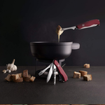 Victorinox Cheese Master Red Knife 0.8313.W