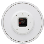 Titan Elegant White Dial Wall Clock NSW0001PA03