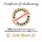 Timex Q Brown Men Watch TW2W51800
