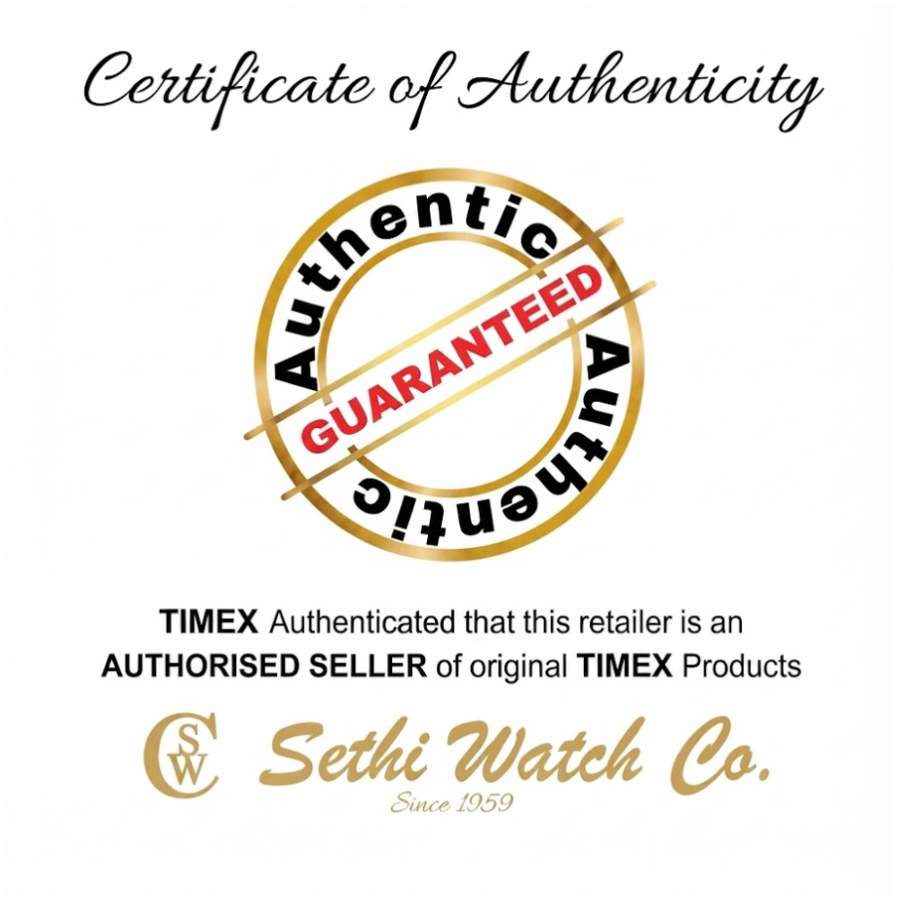Timex Q Brown Men Watch TW2W51800