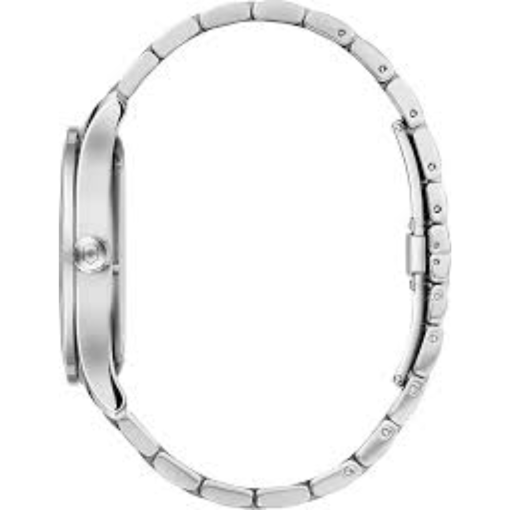 Victorinox Alliance Silver Men's Watch 241803