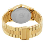 Titan Quartz Silver Men Watch 1650YM03