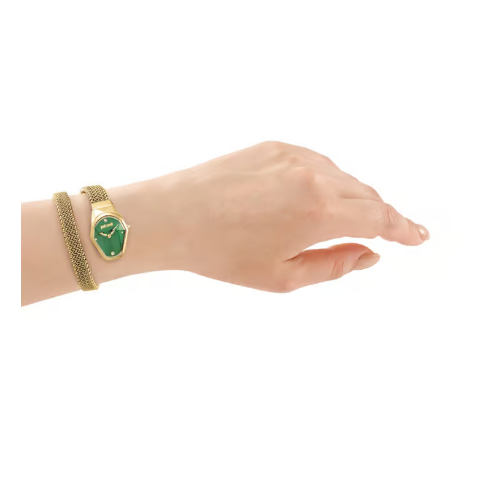 Just Cavalli Gioia Green Dial Women's Watch JC1L455M0035