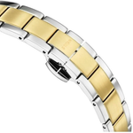 Titan Edge Gleam Silver Women's Watch 2734BM01